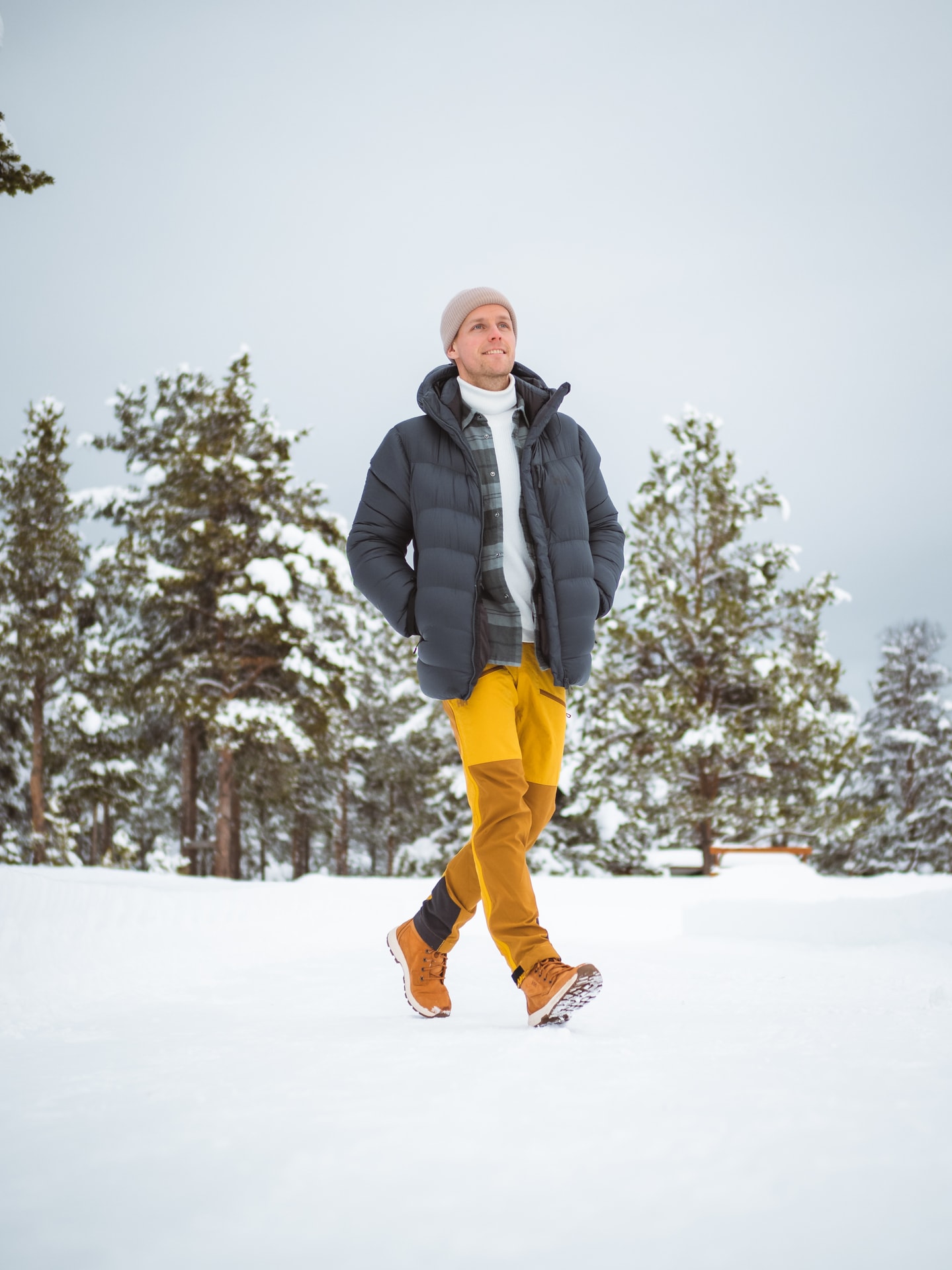 Helly hansen softshell model